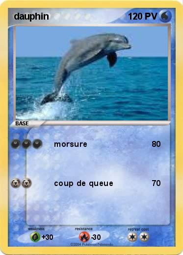 Pokemon dauphin