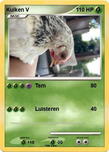 Pokemon Kuiken V