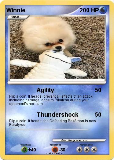 Pokemon Winnie