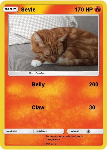 Pokemon Sevie