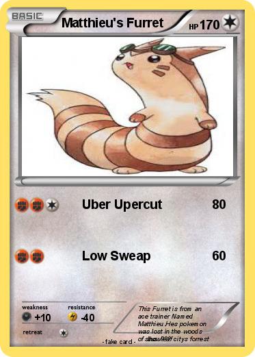 Pokemon Matthieu's Furret
