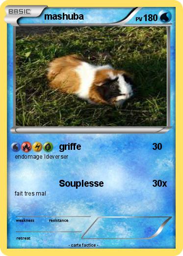 Pokemon mashuba