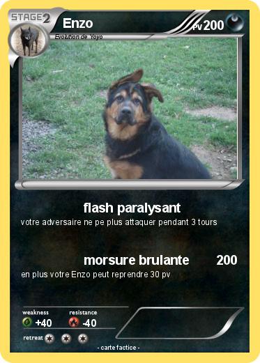 Pokemon Enzo