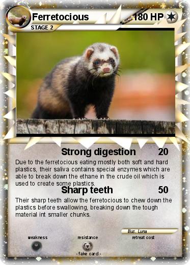 Pokemon Ferretocious