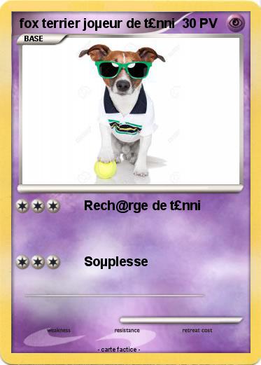 Pokemon fox terrier joµeur de t£nni
