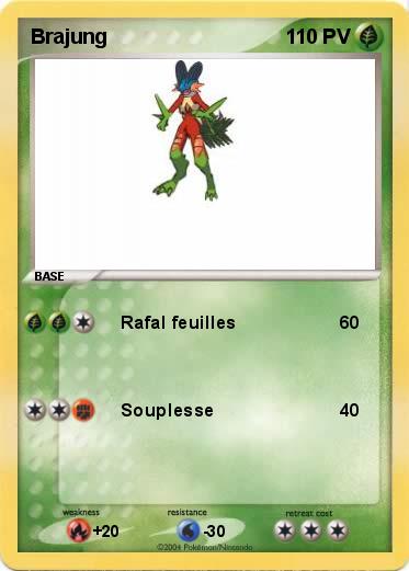 Pokemon Brajung