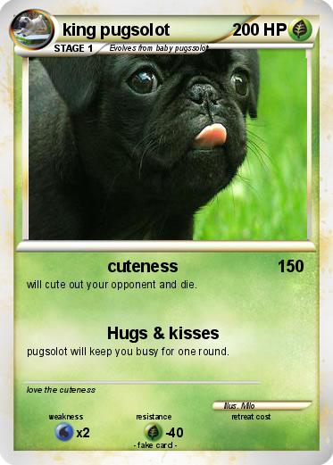 Pokemon king pugsolot