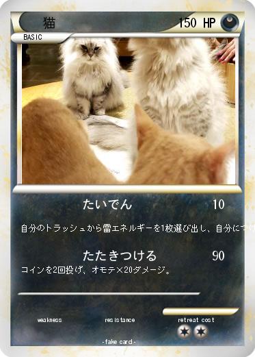 Pokemon 猫