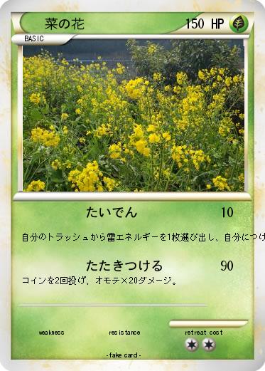Pokemon 菜の花