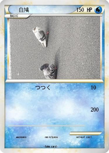 Pokemon 白鳩