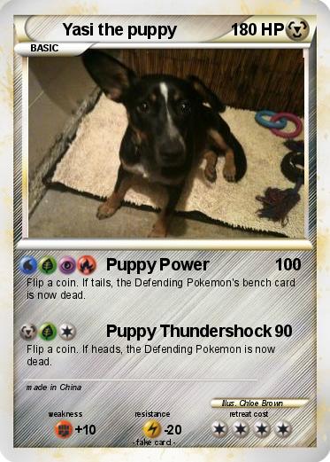 Pokemon Yasi the puppy
