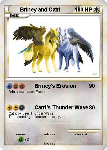 Pokemon Briney and Catri