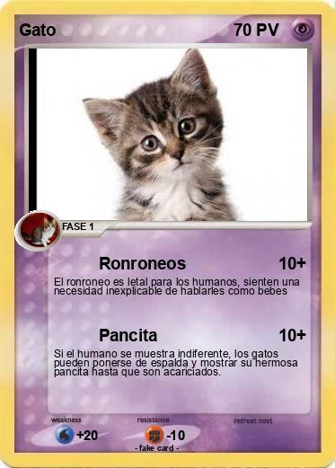 Pokemon Gato