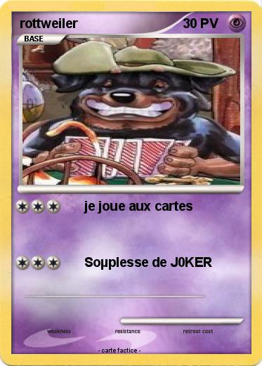 Pokemon rottweiler