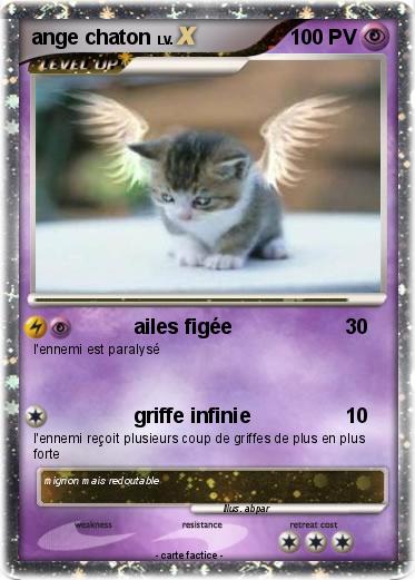 Pokemon ange chaton