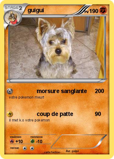 Pokemon guigui