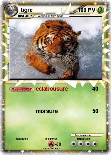 Pokemon tigre