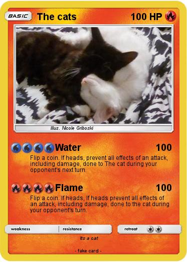 Pokemon The cats