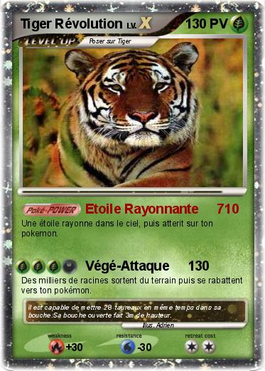 Pokemon Tiger Révolution