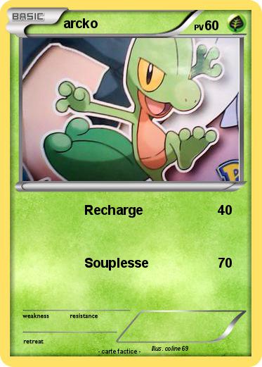 Pokemon arcko