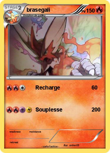 Pokemon brasegali