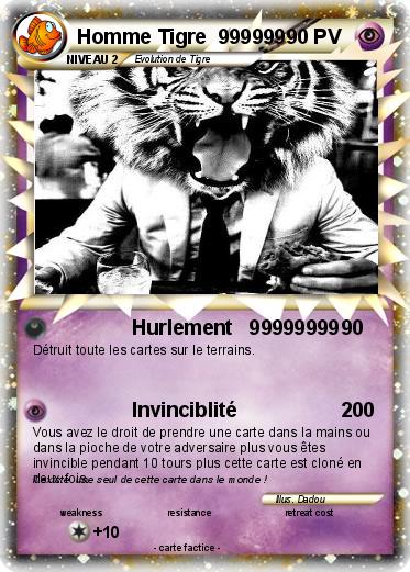 Pokemon Homme Tigre  999999