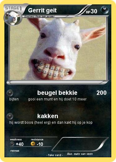 Pokemon Gerrit geit