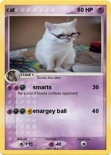 Pokemon cat