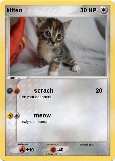 Pokemon kitten