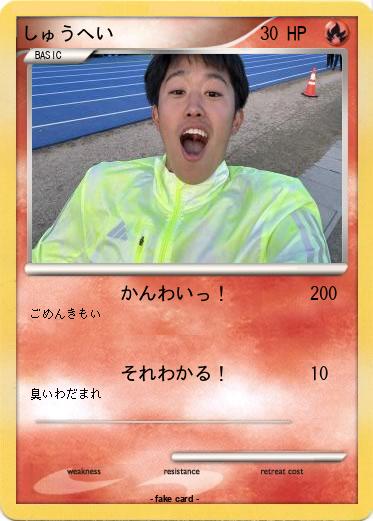 Pokemon しゅうへい