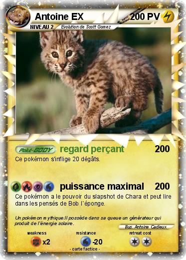 Pokemon Antoine EX