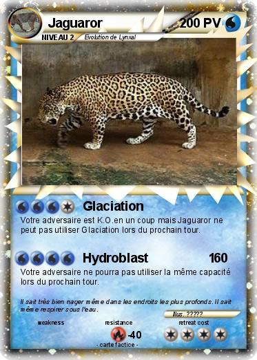 Pokemon Jaguaror