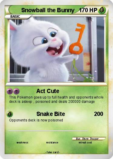 Pokemon Snowball the Bunny