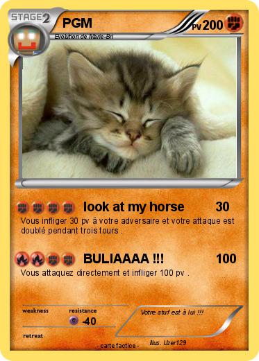 Pokemon PGM
