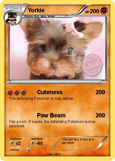 Pokemon Yorkie