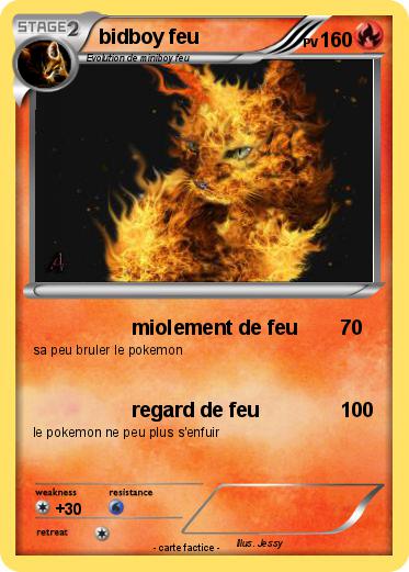 Pokemon bidboy feu