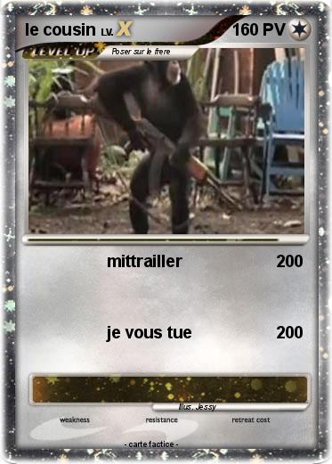 Pokemon le cousin