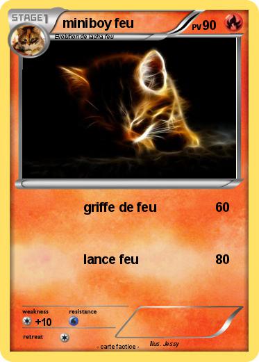 Pokemon miniboy feu