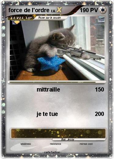 Pokemon force de l'ordre