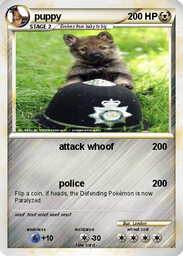 Pokemon puppy
