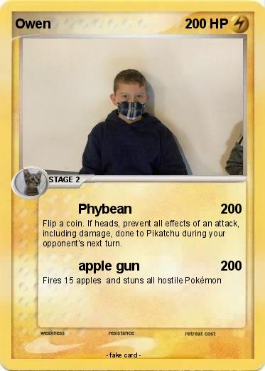 Pokemon Owen