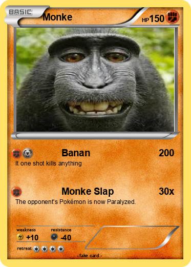 Pokemon Monke