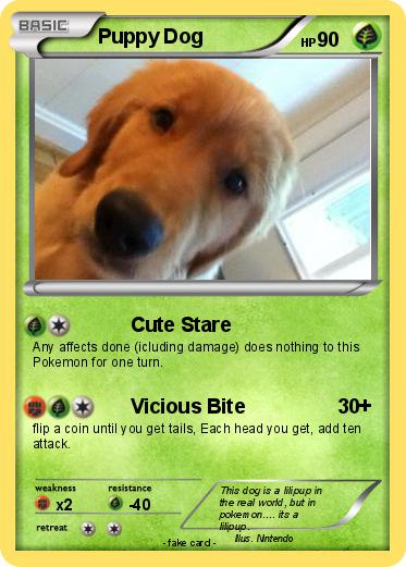 Pokemon Puppy Dog