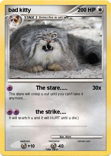 Pokemon bad kitty