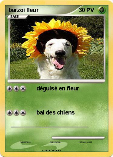 Pokemon barzoi fleur