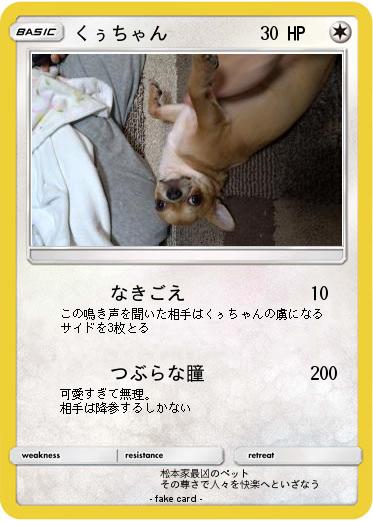 Pokemon くぅちゃん