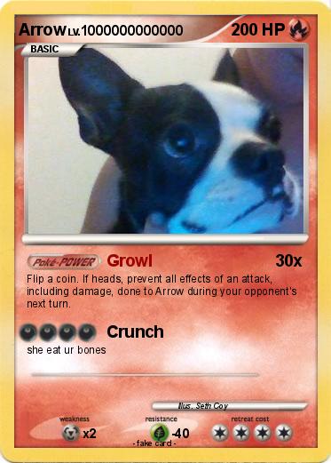 Pokemon Arrow