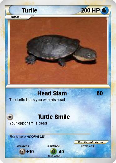 Pokemon Turtle