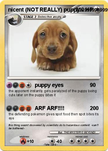 Pokemon nicent (NOT REALLY) puppy