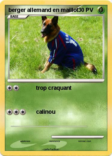 Pokemon berger allemand en maillot